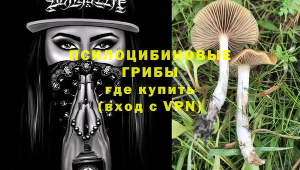 крисы Аркадак