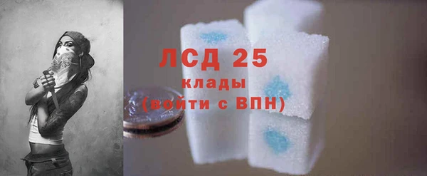 крисы Аркадак