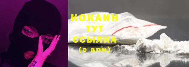 ПСИЛОЦИБИНОВЫЕ ГРИБЫ Заводоуковск