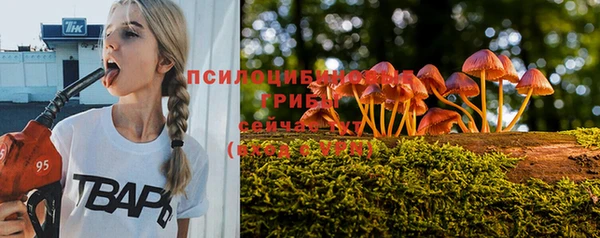 тгк Арсеньев