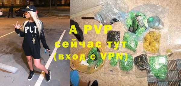 крисы Аркадак