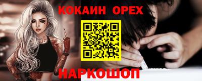 спайс Кингисепп