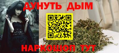 спайс Кингисепп