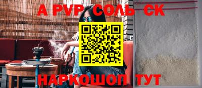 спайс Кингисепп