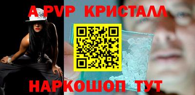 спайс Кингисепп