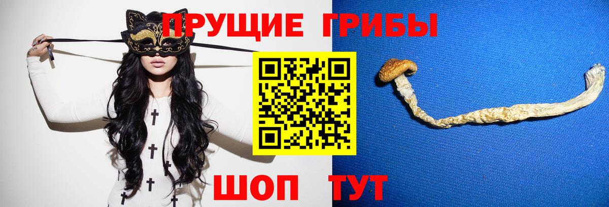 Псилоцибиновые грибы Cubensis  Псилоцибиновые грибы MAGIC MUSHROOMS  Вход с VPN  Лениногорск 