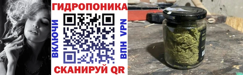 Каннабис конопля  блэк спрут   Лениногорск 